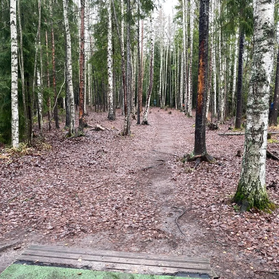 Talvileiska pelattavissa, menk&auml;&auml;h&auml;n pelloomaan!