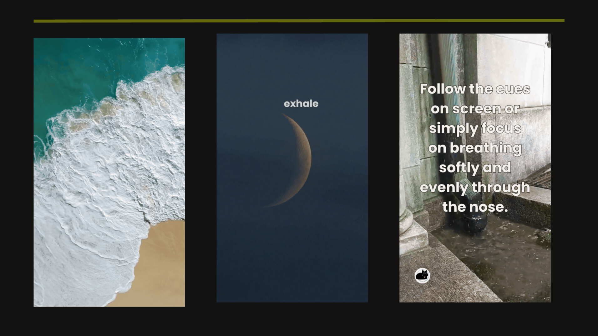 Educational Reels 