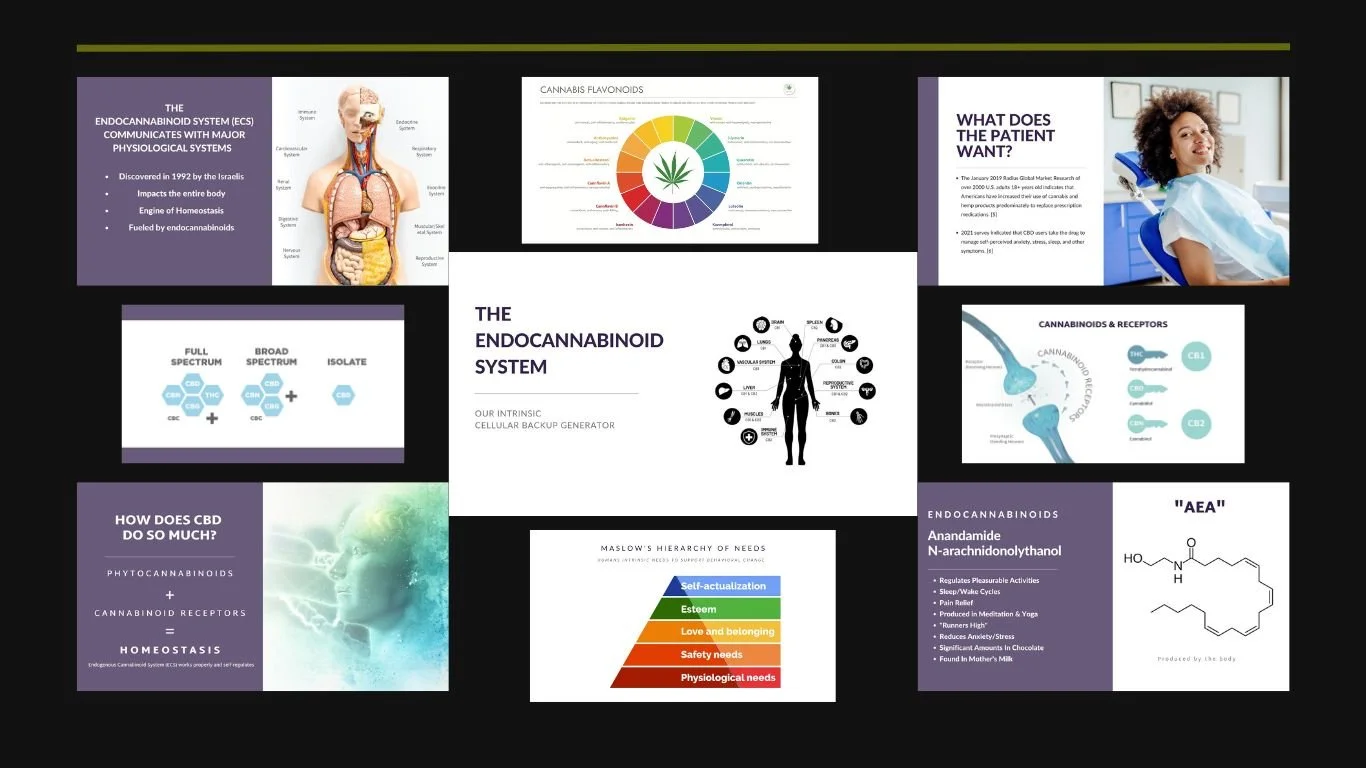 Presentation