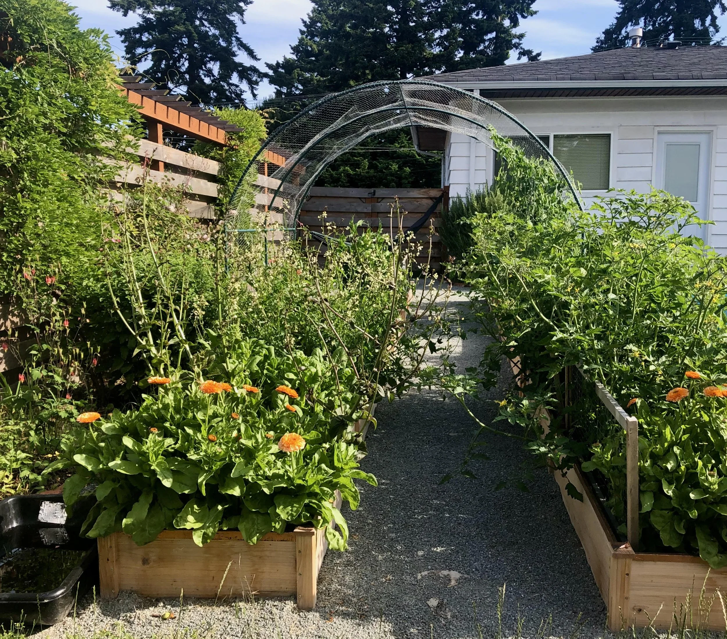 Why &amp; How to Include Native Plants in Your Vegetable Garden