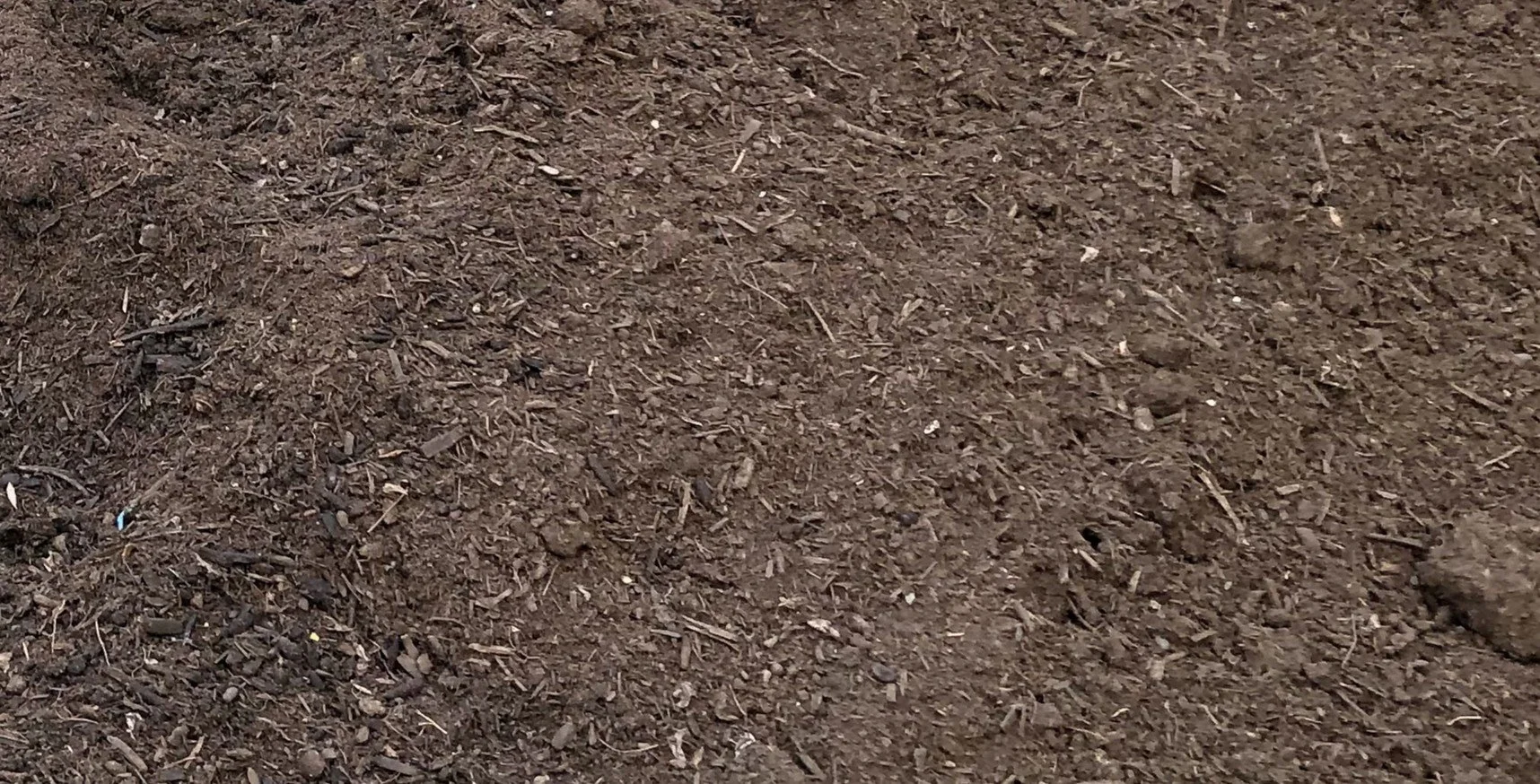 The Bedrock of Gardening: Choosing Soil Over Dirt