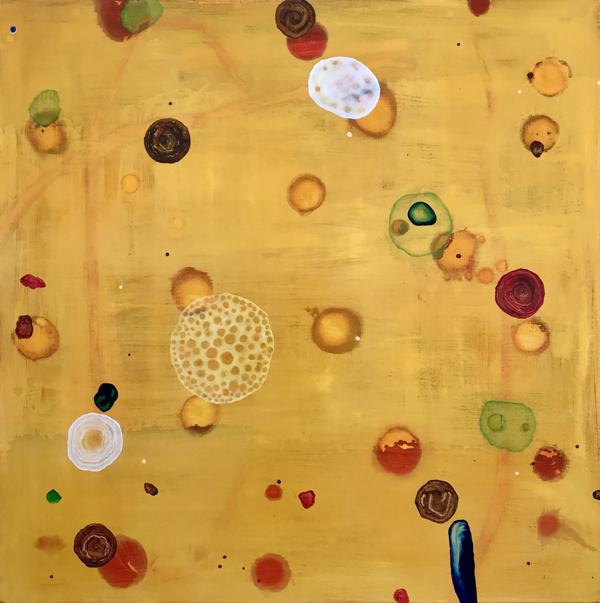 Malcolm Harding, Shift in Perception, 2025, oil on canvas, 80x80cm.