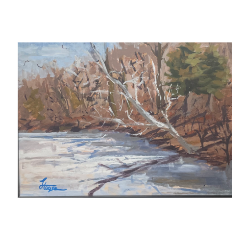 "Ice Around The Cove"