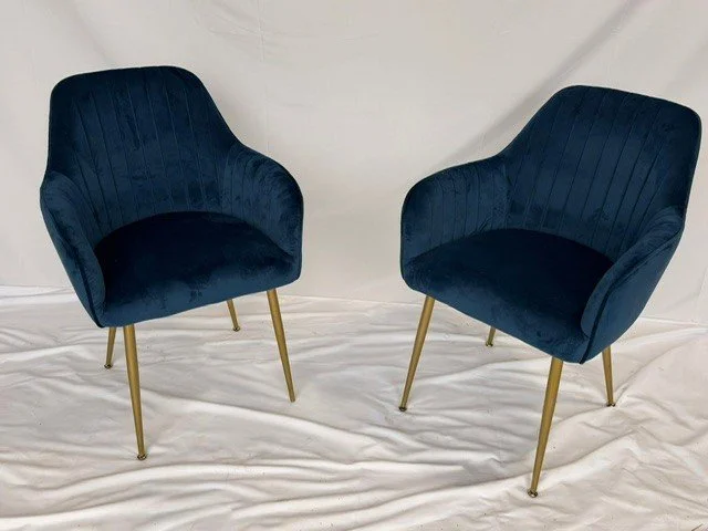 Blue Modern Chairs - Pair.jpg