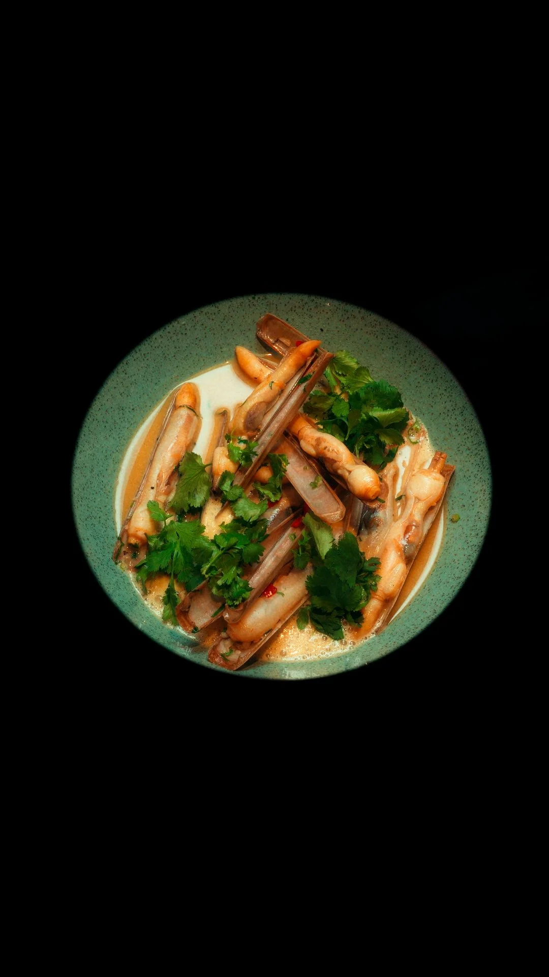 Prato de moqueca de peixe com coentro, servido em tigela verde escura