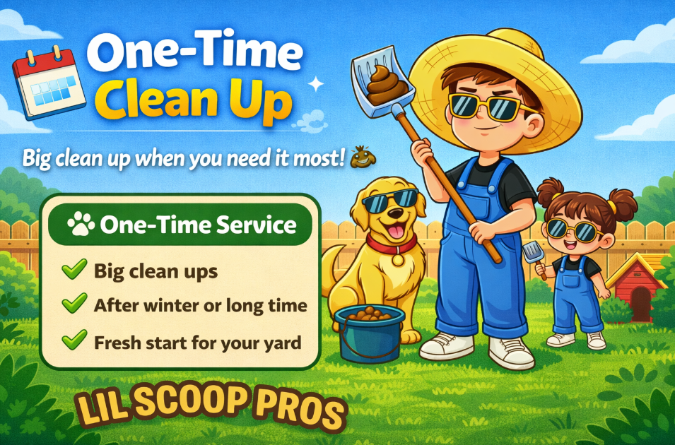 one-time-dog-poop-clean-up-service-lil-scoop-pros.jpg