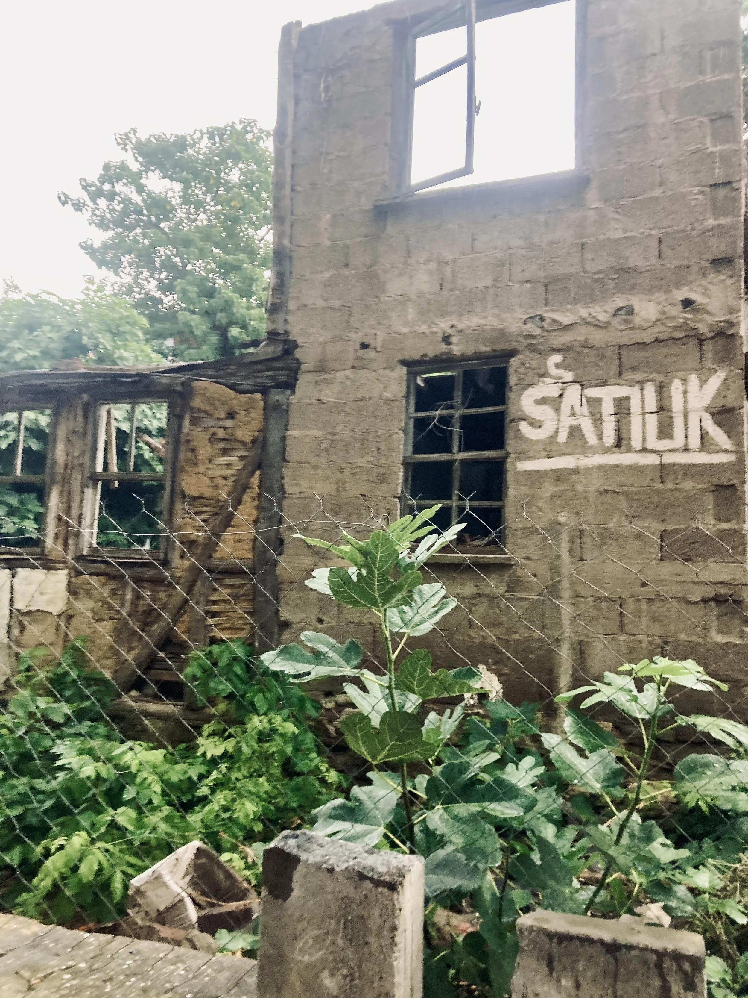 potansiyelin peşinde