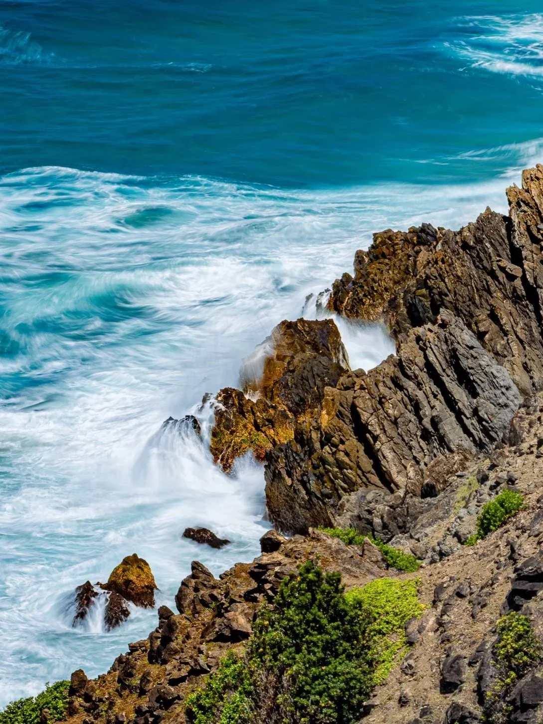 Signature 10 Collection