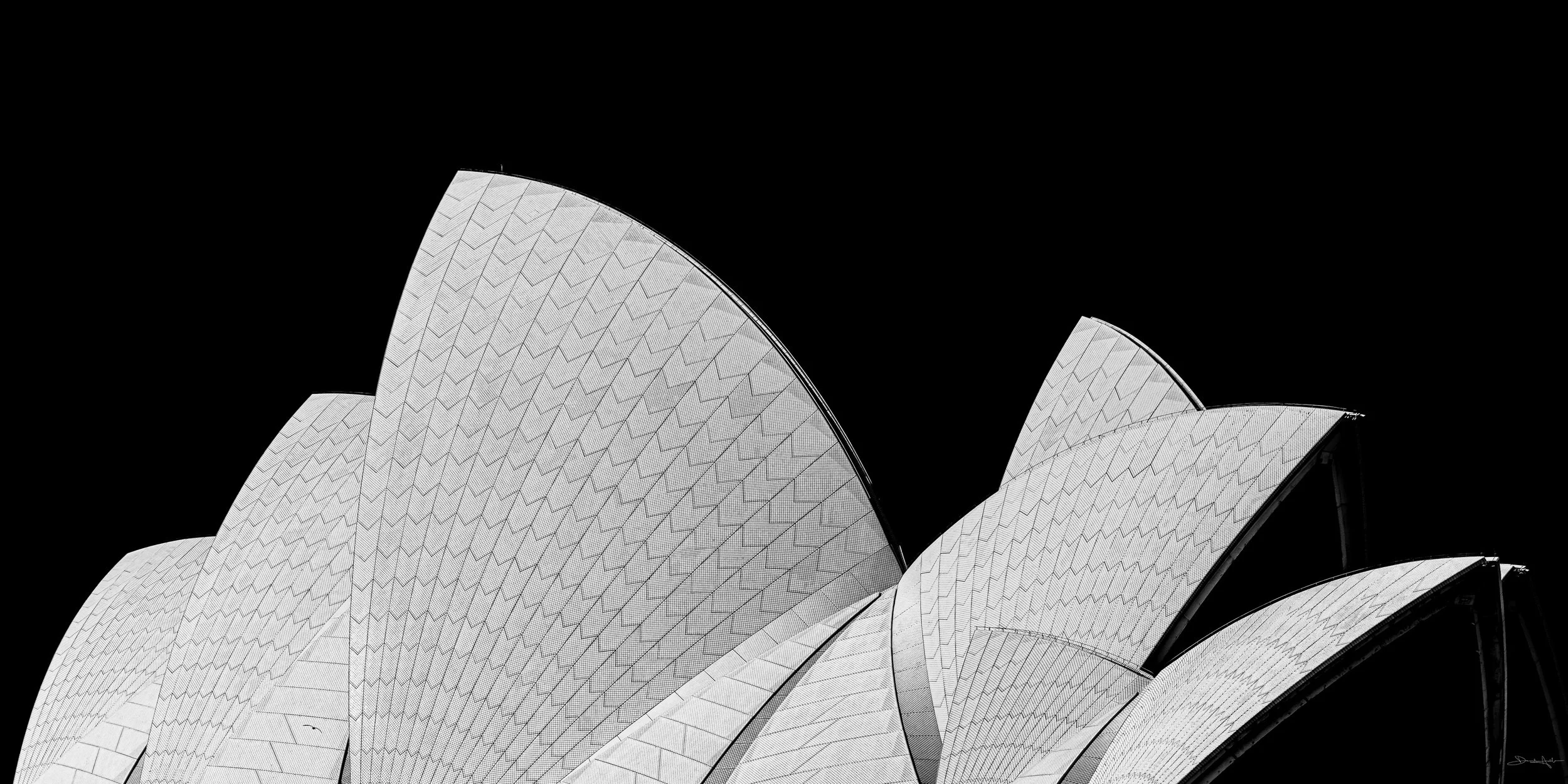A1-SIG-Sails in the Dark-WEB-2x1.jpg