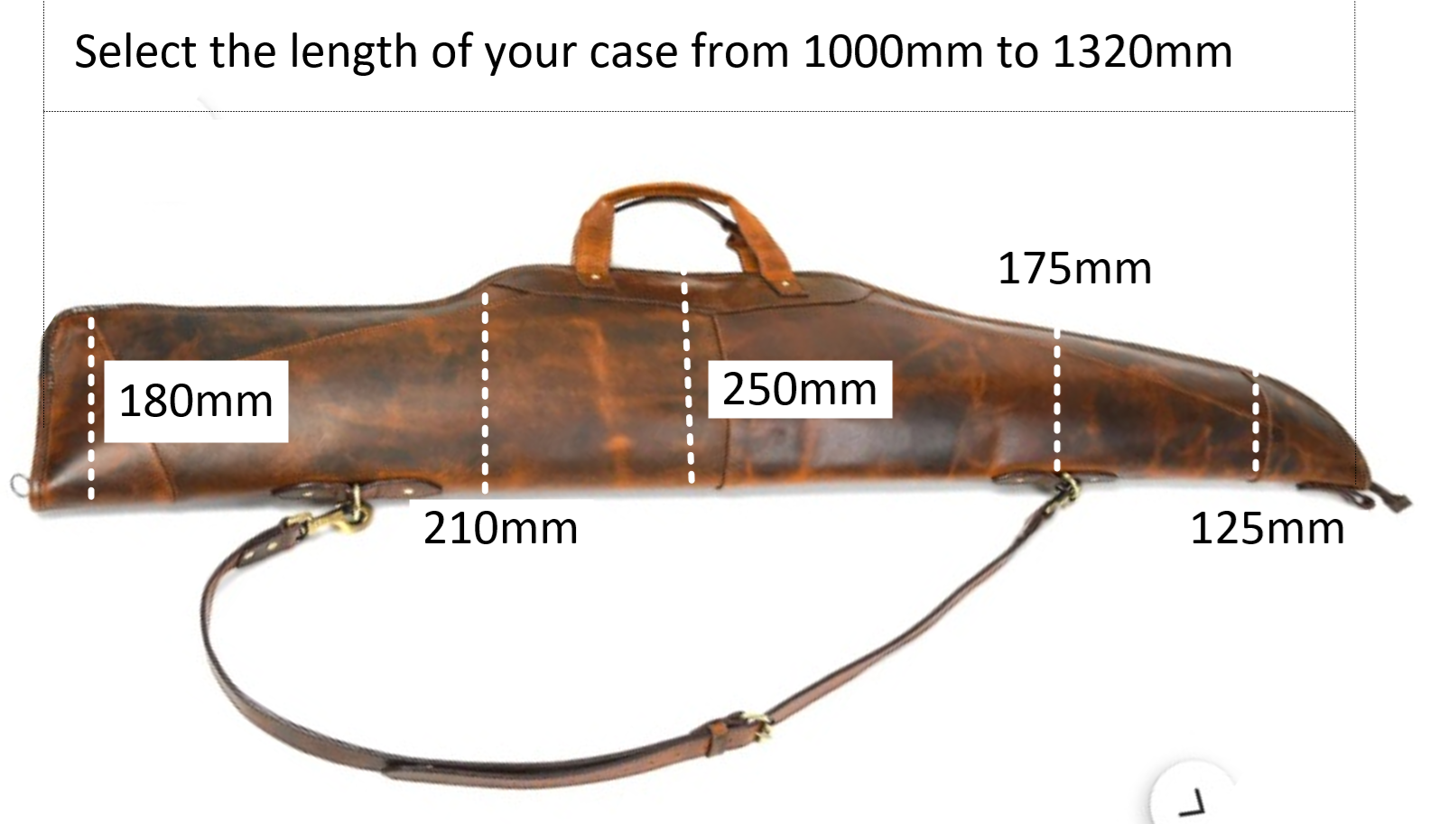 case 55.png