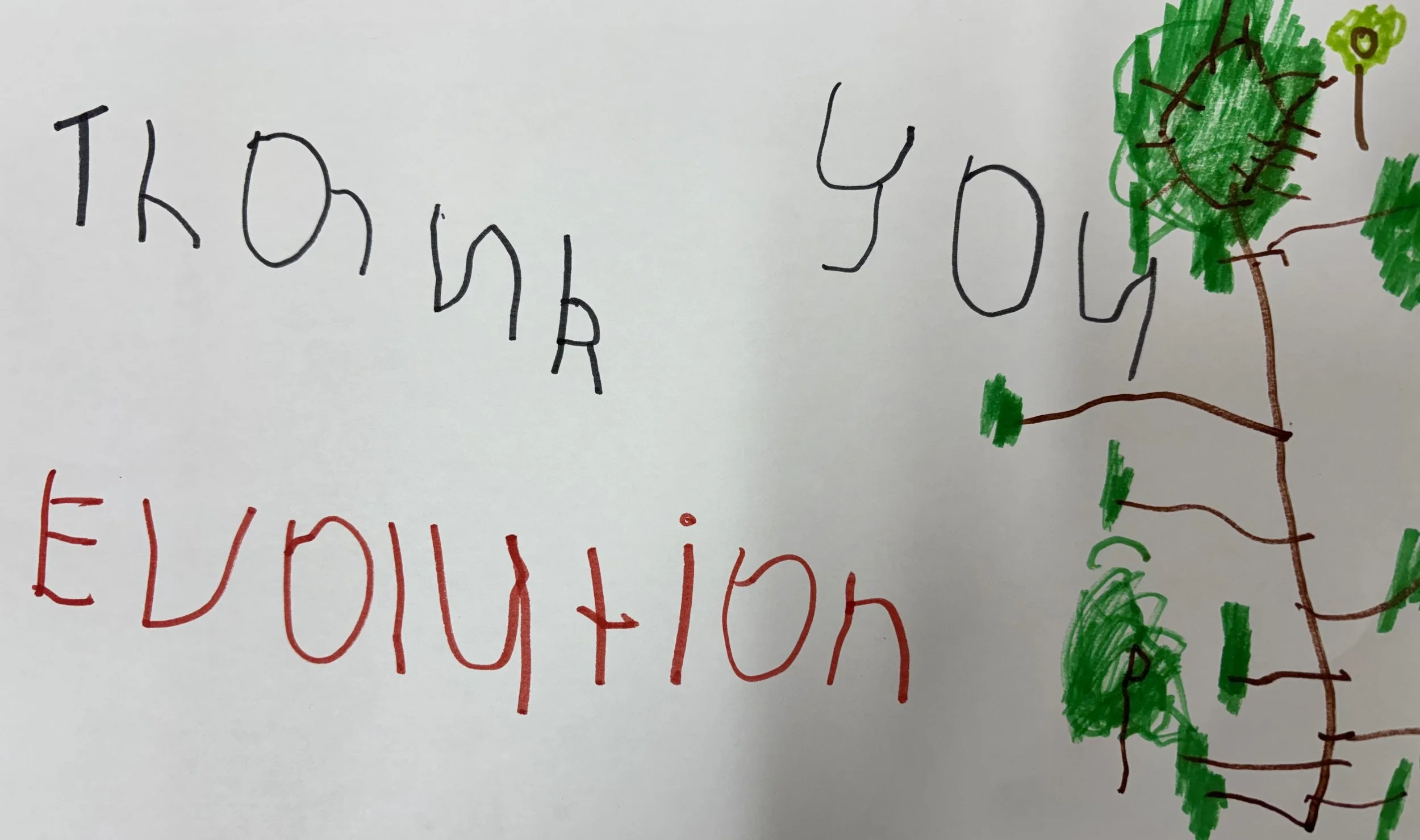evolution thank you.jpeg