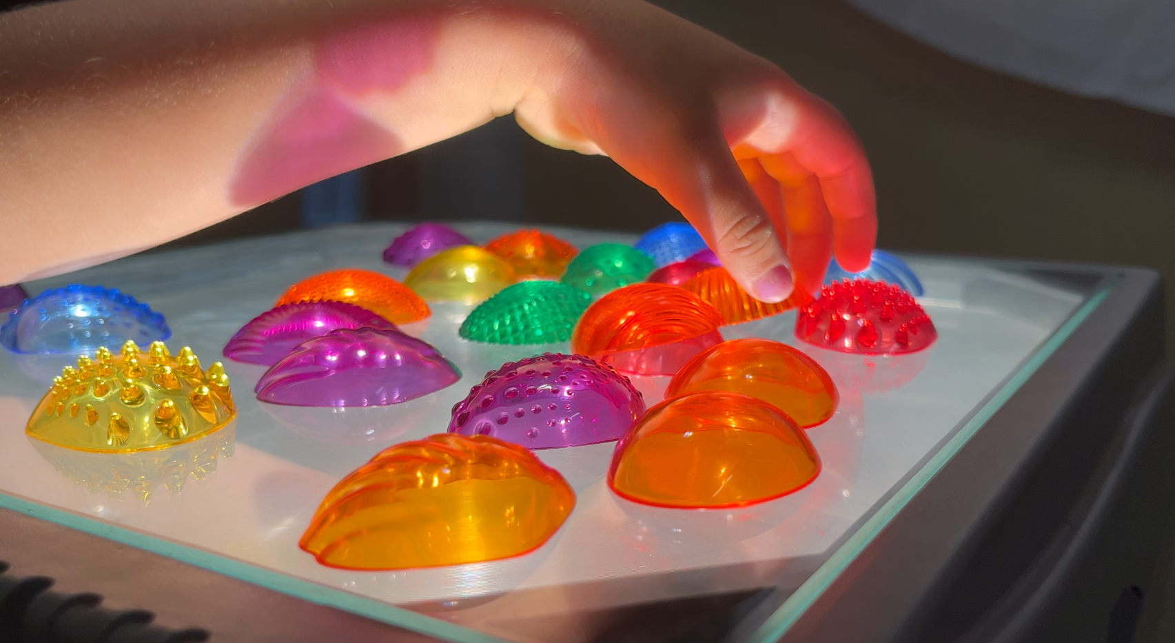 light box shells with childs hand