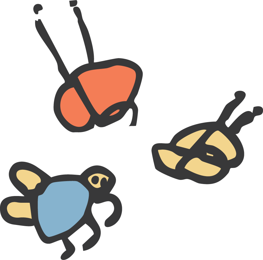 Drawing of three insects with different colors and shapes.