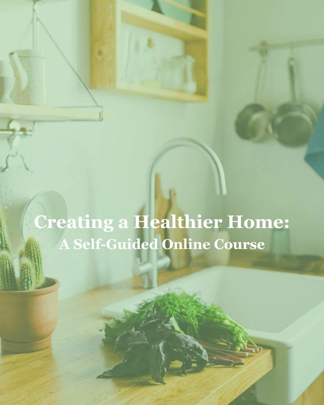 Course Image.jpg