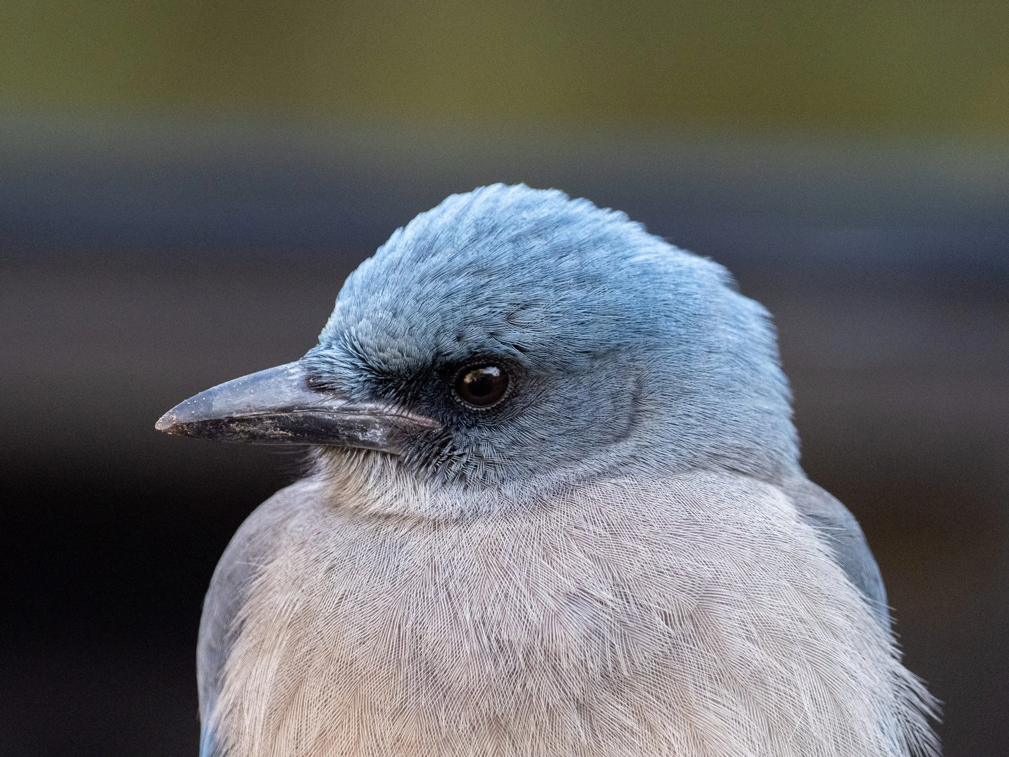 PB270589-2.jpg