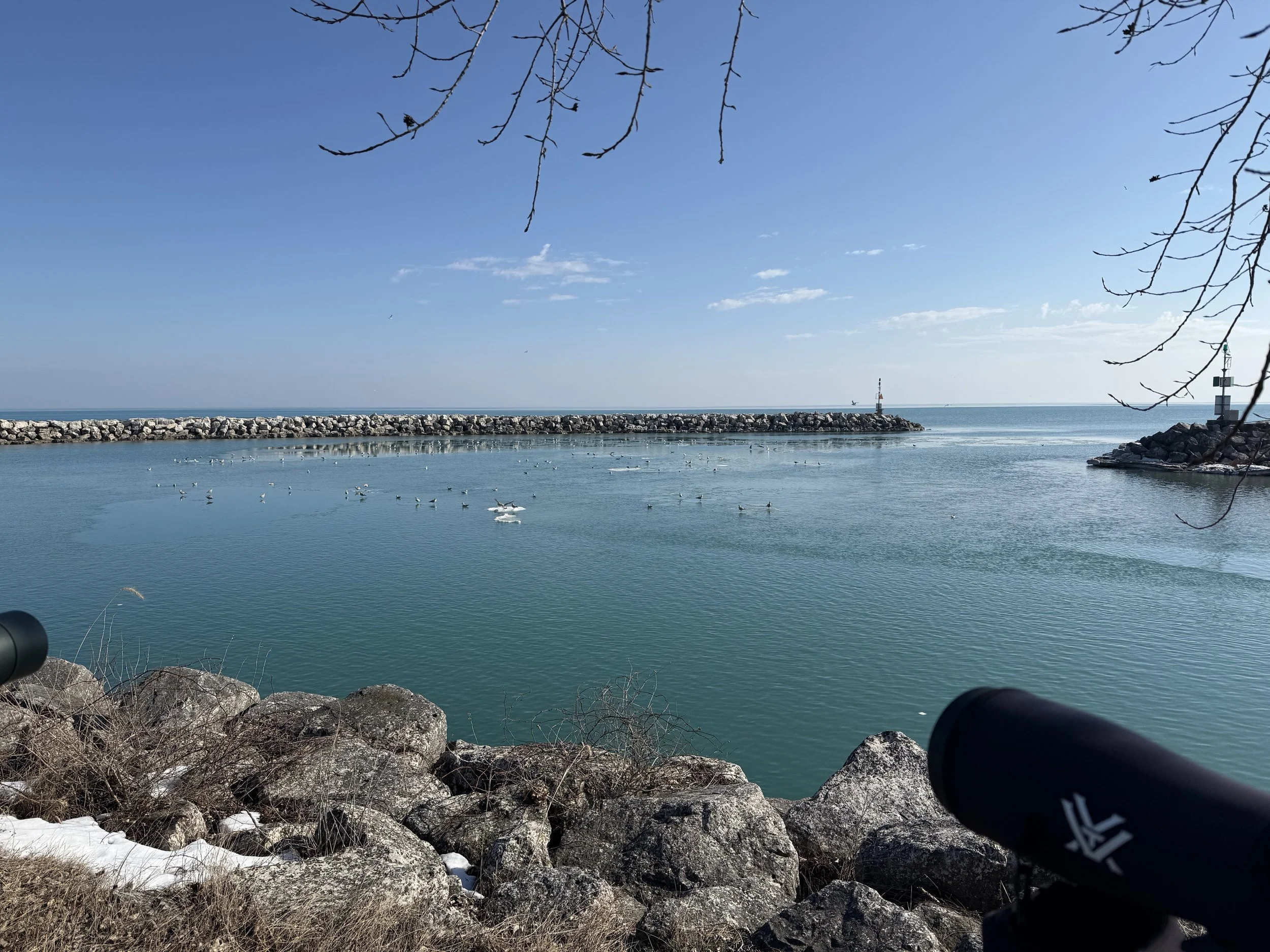 10047704-5841-40DB-B628-63092D4B263E.jpeg
