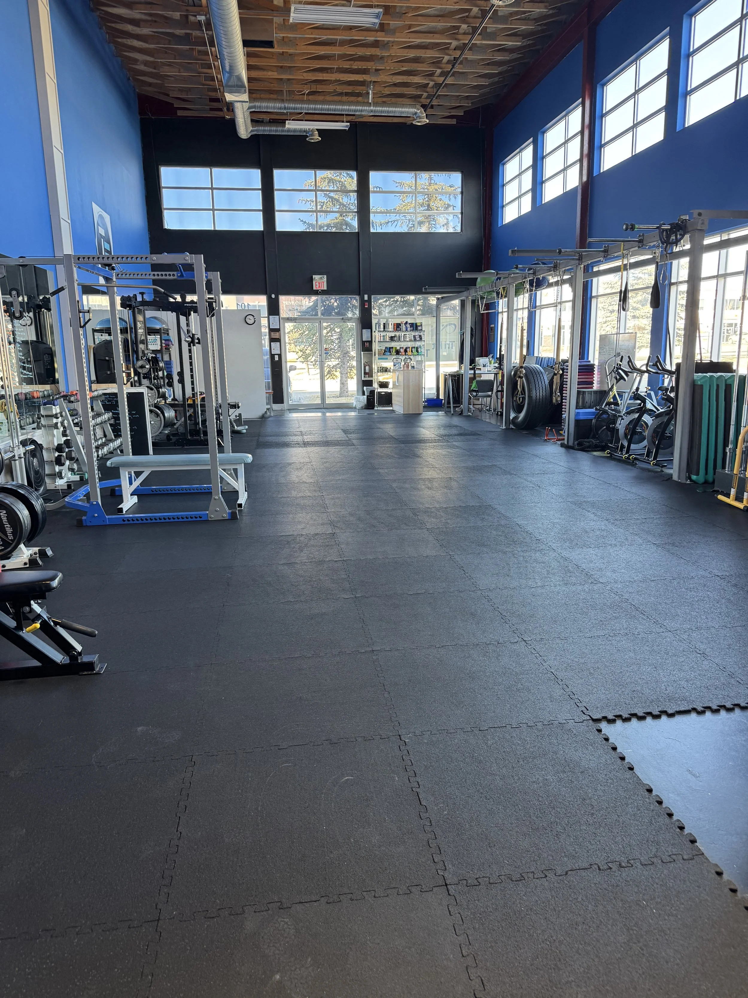 Interior of a spacious fitness gym with black rubber flooring, blue and black walls, large windows providing natural light, and various gym equipment such as weight racks, a bench, bikes, and suspension training straps.