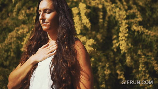 Mobile Fallback image.gif