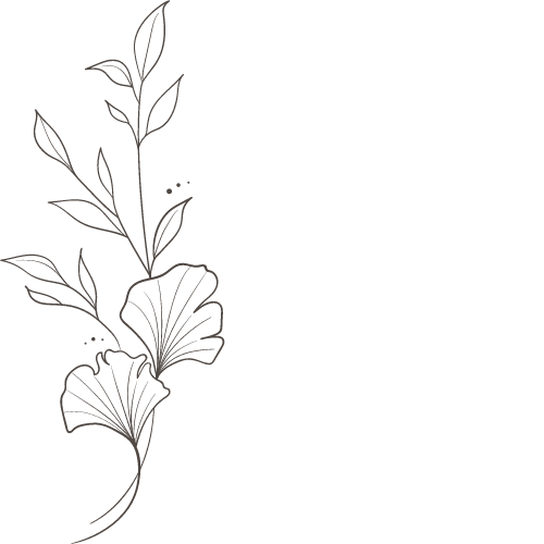 Black background with a minimalist line drawing of leaves and ginkgo leaves in beige color.