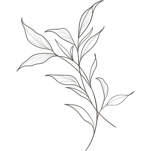 A white line drawing of a plant with multiple leaves on a black background.