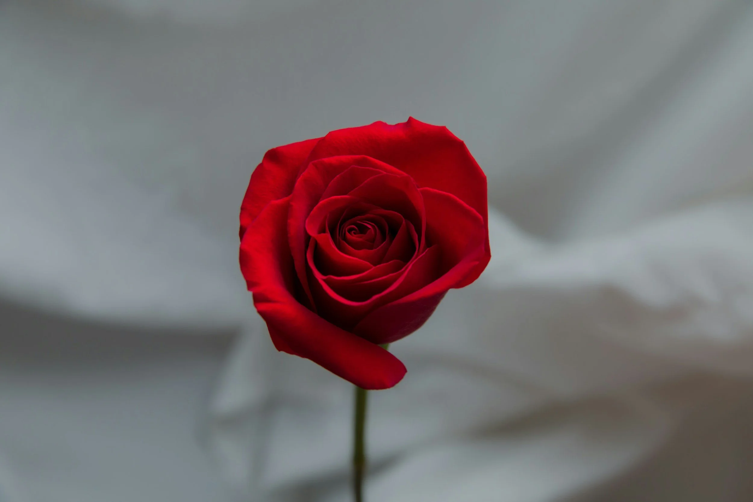 What Happens When Pleasure Stops Feeling Safe (And How to Find Your Way Back)