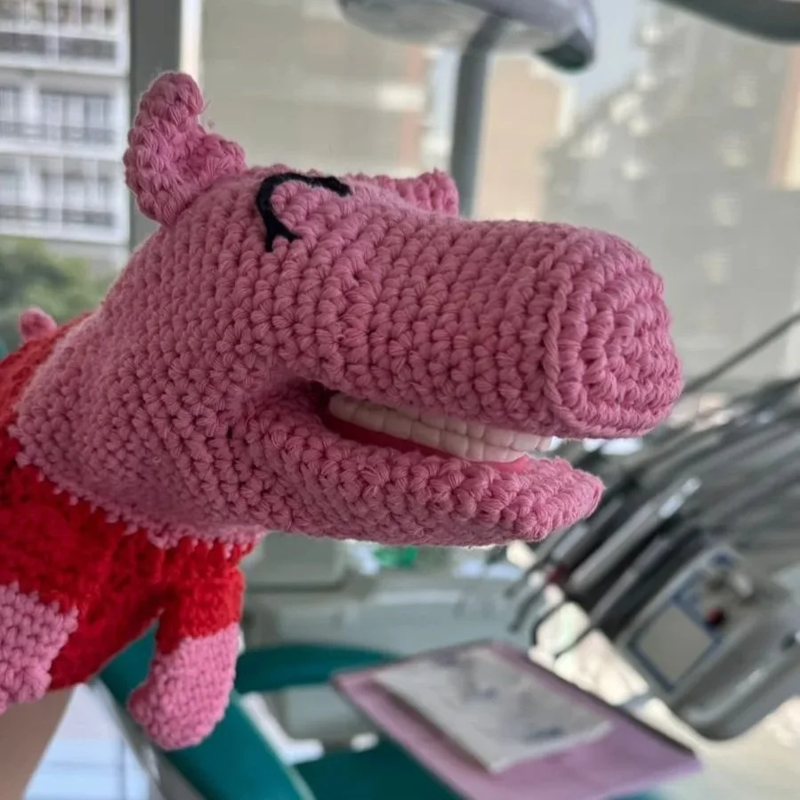 Muñeco de peluche de dibujo del personaje de dibujos animados de color rosa con un cuerpo de crochet, pelo y ojos negros, y lleva ropa roja, en un interior de vehículo.