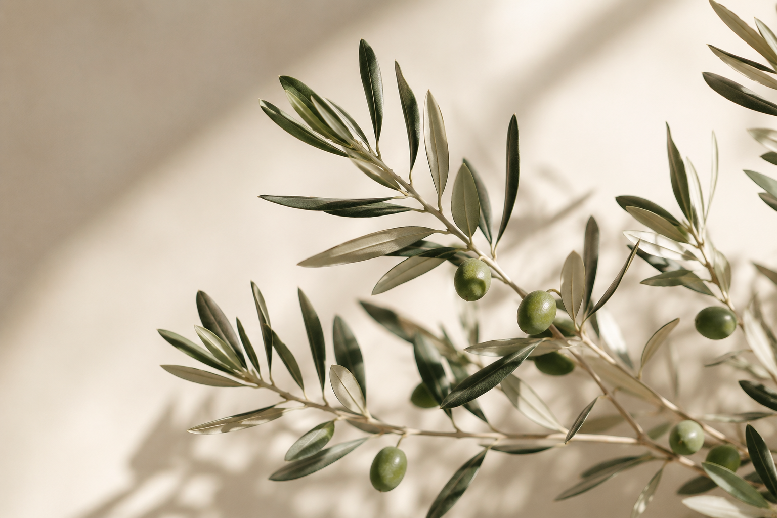 The OG Skin Studio  | Medspa in Austin, TX, 78738 | Botox, Filler, Peels