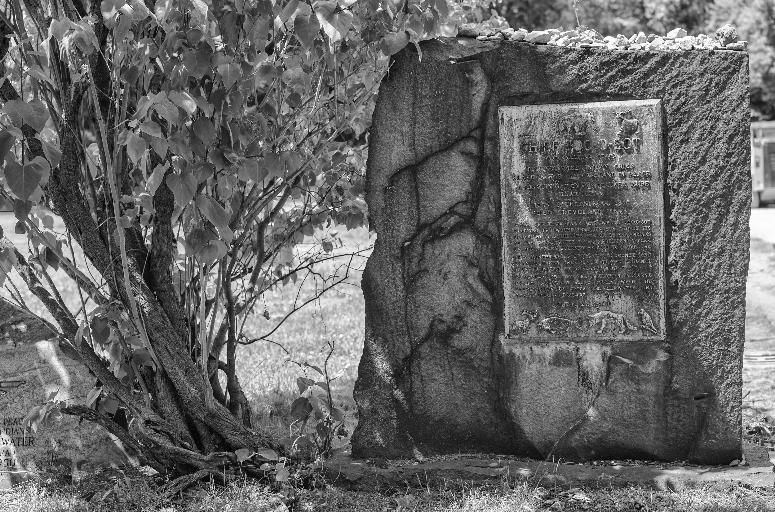 L1000656.jpg