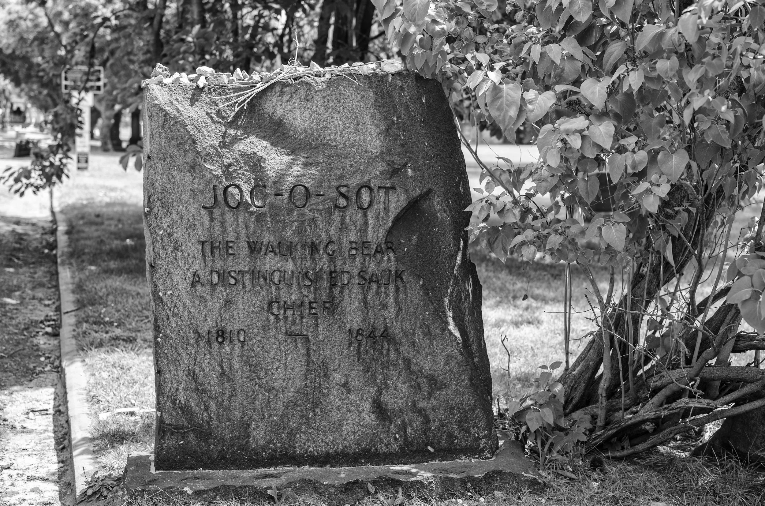 L1000654.jpg