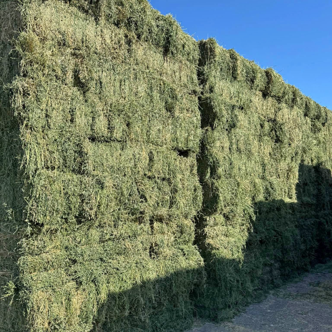 Large stack of freshly cut hay bales stacked in Santa Margarita, California.