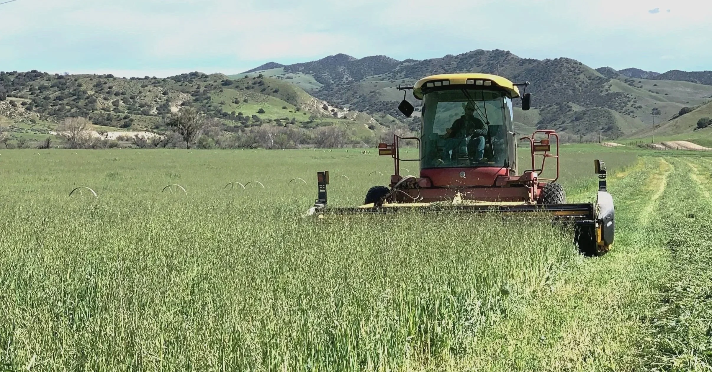 Dalton Taylor operating a hay combine in Santa Margarita California.