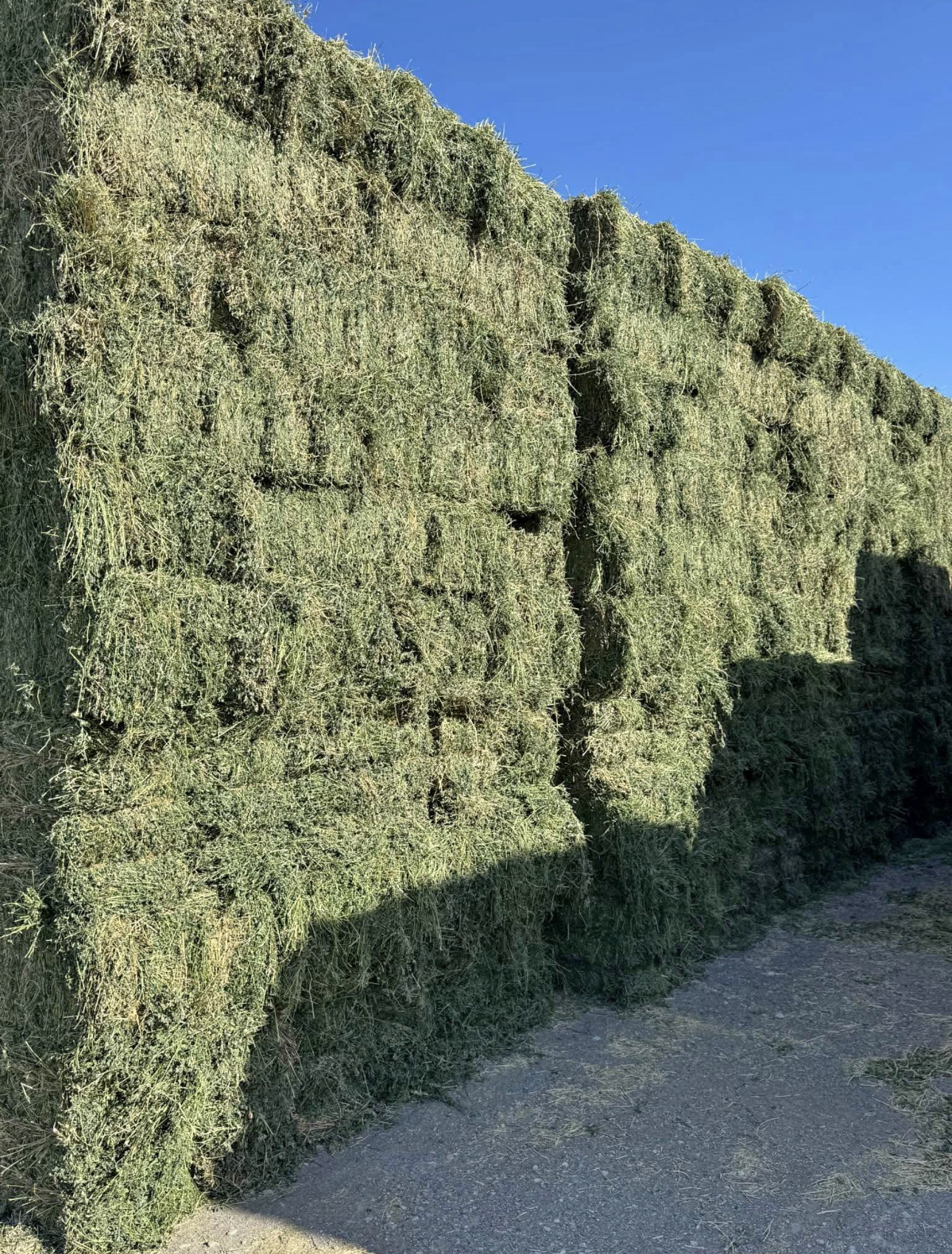 Hay & Supplement Sales