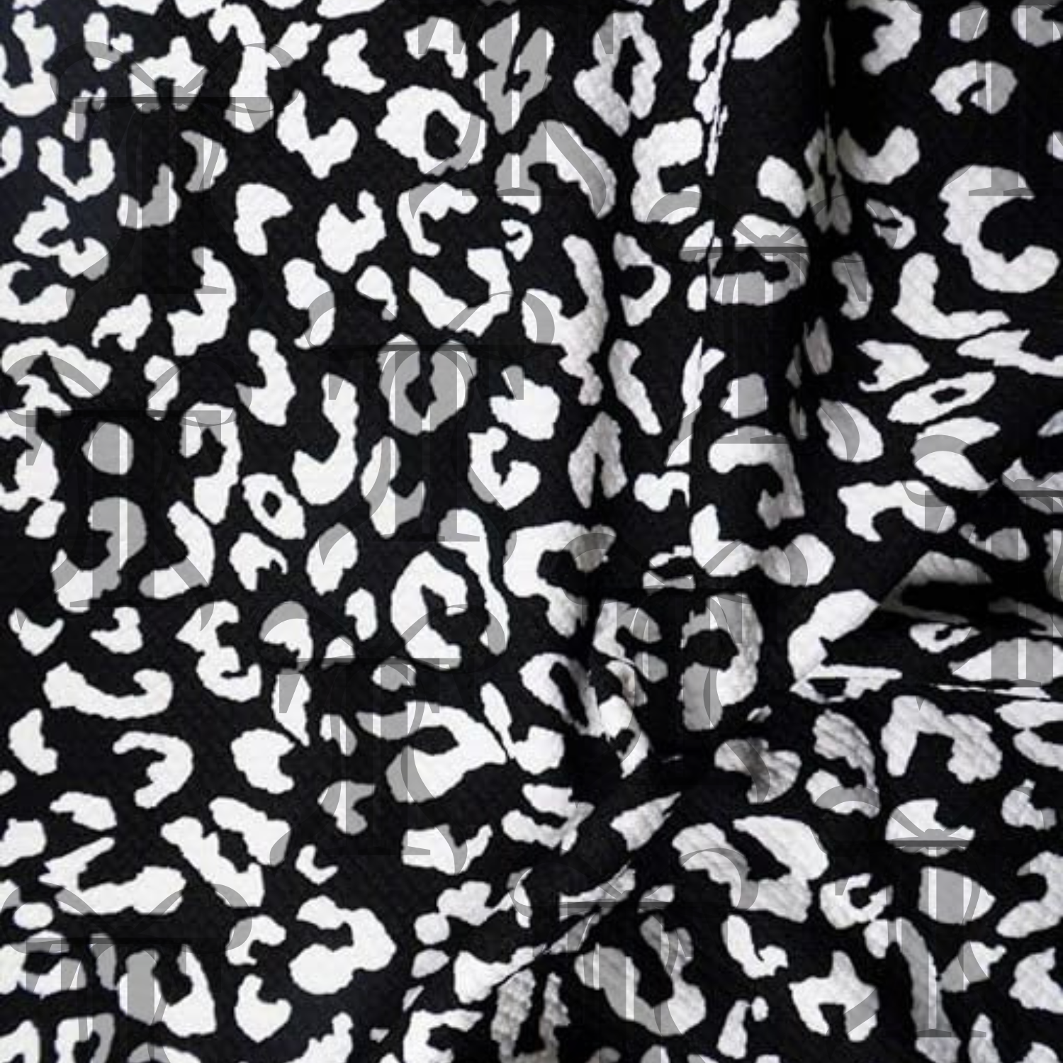 B&W Leopard