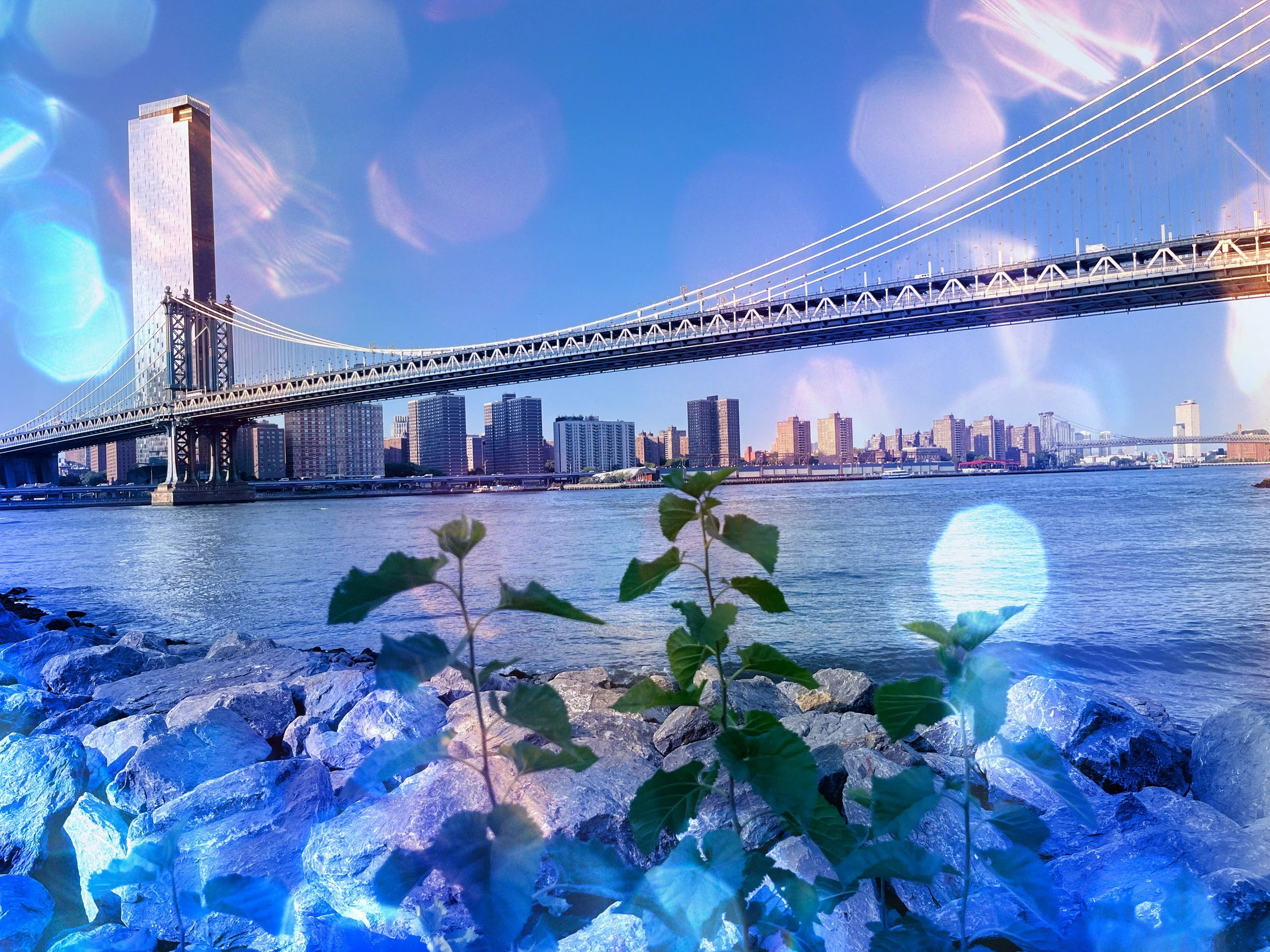 View of a city skyline with a bridge crossing a river, with a tall skyscraper on the left, and buildings in the background. The photo has a blue tint and some light flares.