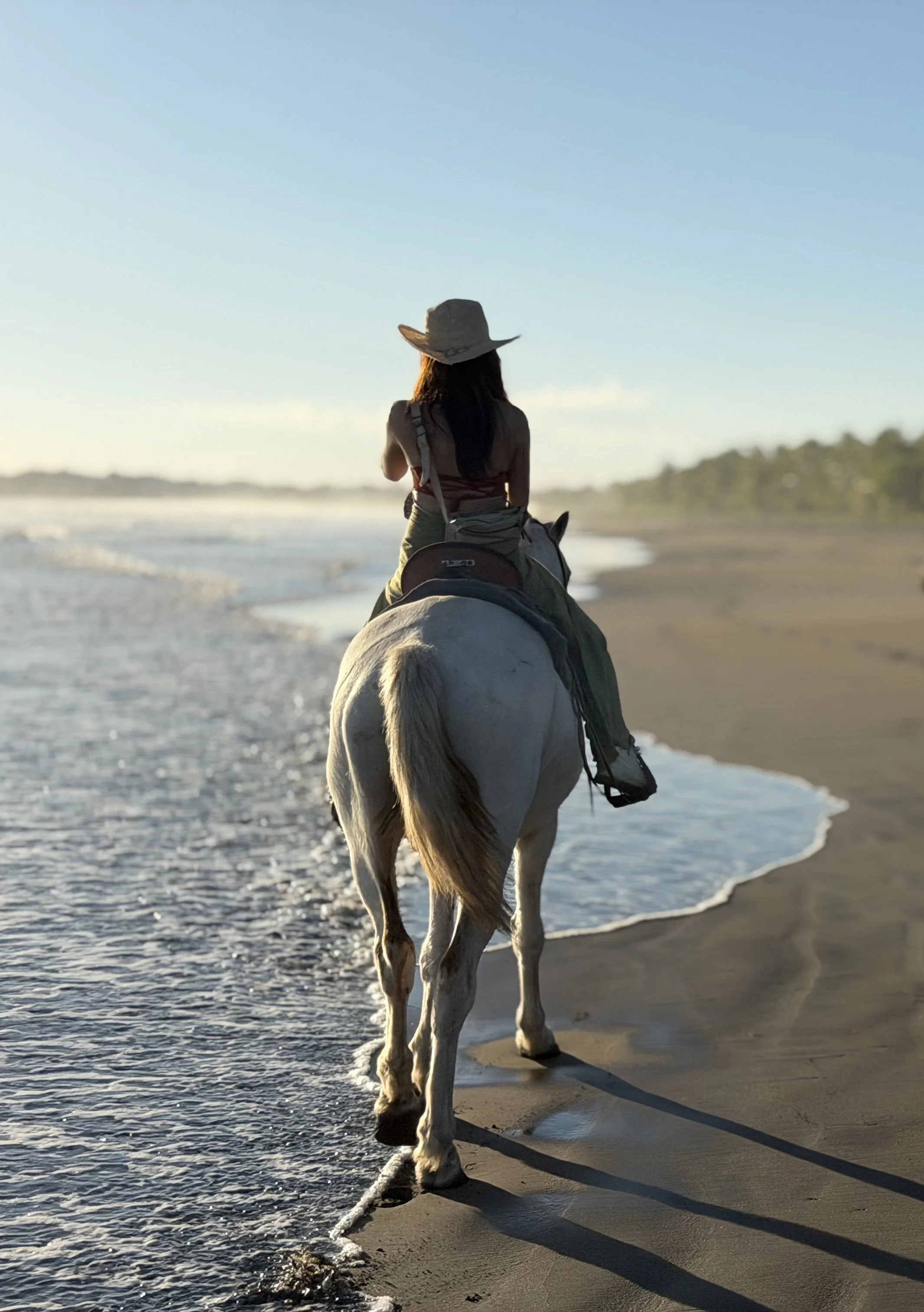 A woman riding a white horse along the shoreline at sunset or sunrise, with her back facing the camera.