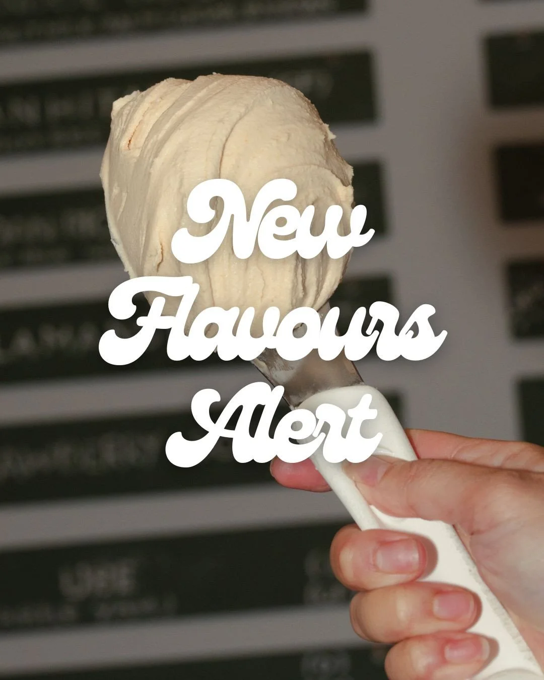 Two new flavours just dropped 👀⁠
⁠
Hot Cross Bun. Warm spices, sweet sultanas, and everything you want in an Easter treat.⁠
⁠
&amp;⁠
⁠
Bandung. A rose syrup gelato topped with grass jelly. An Indonesian classic you need to try.⁠
⁠
Come in and take a