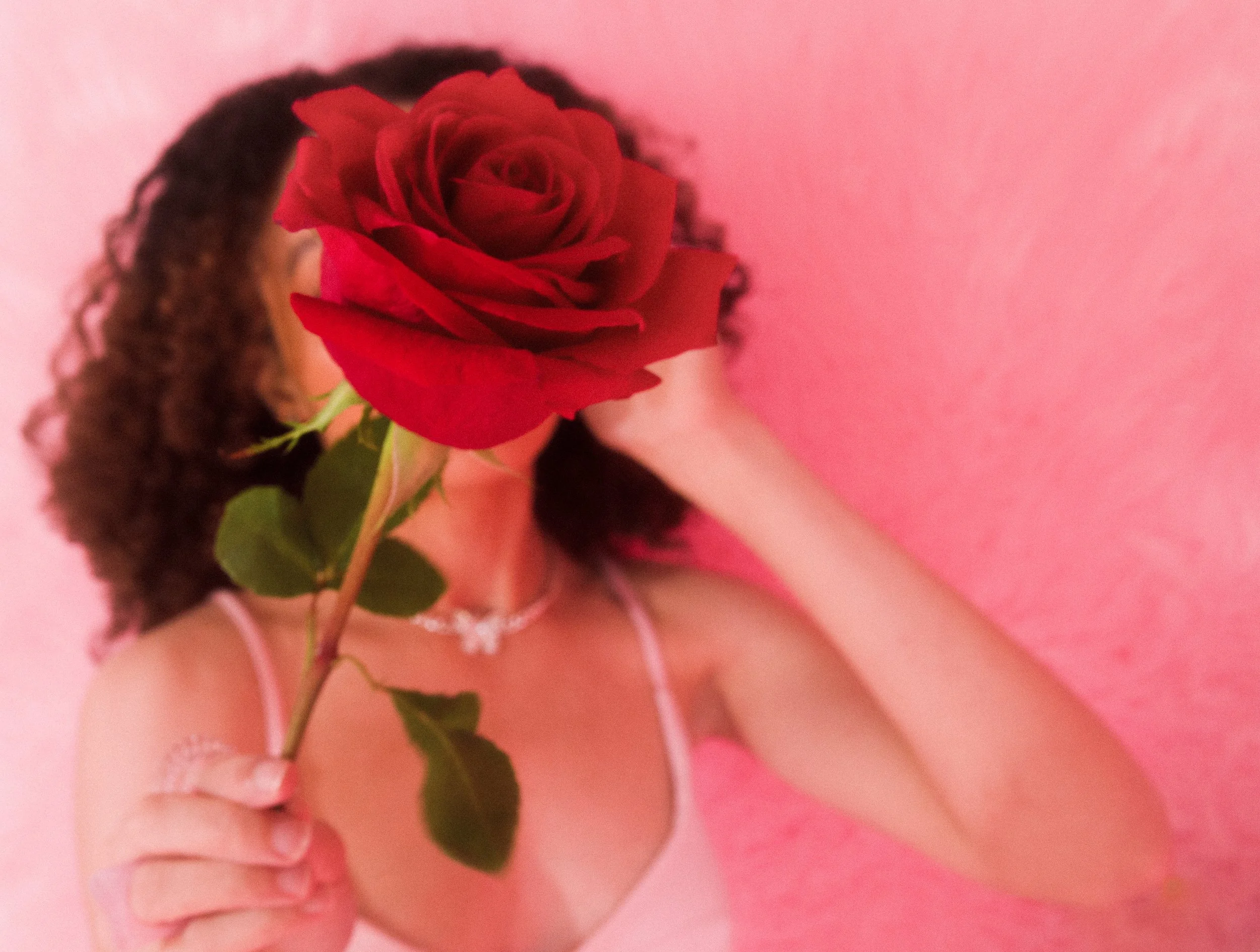 Pink Room 33.jpg