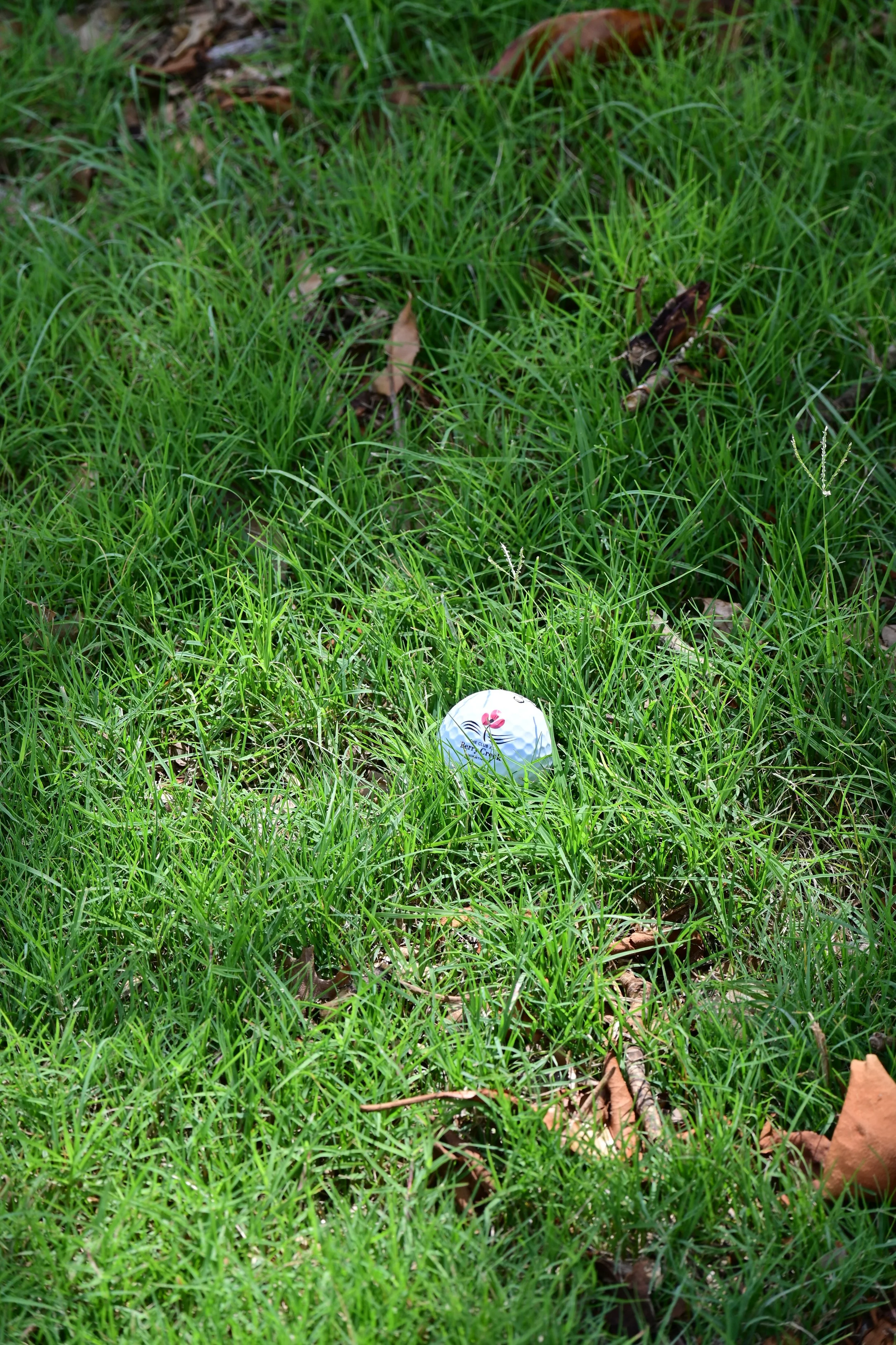 DSC_3632.JPG