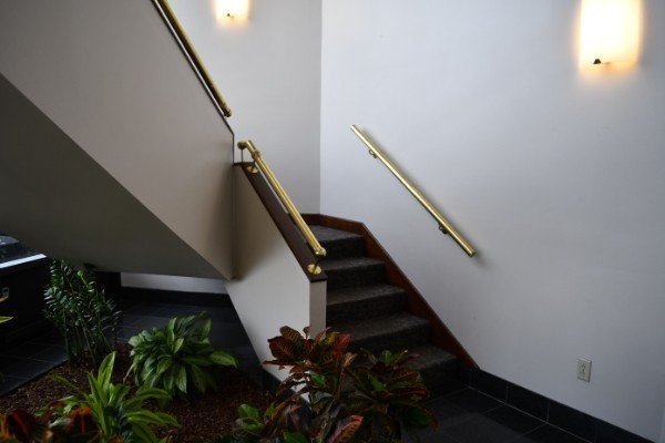 Indoor staircase with dark carpeted steps, wooden handrails with gold-colored metal supports, and walls with wall-mounted light fixtures, surrounded by plants at the bottom.