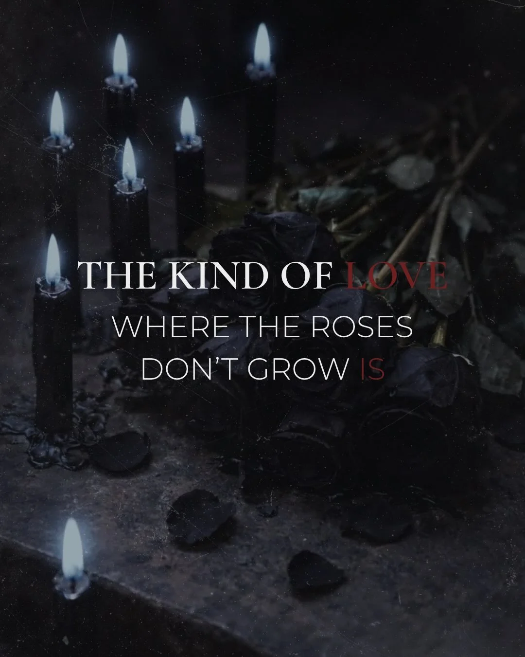 The kind of love that survives storms. The kind that ruins you first. 

🖤🌧️🥀

Where the Roses Don&rsquo;t Grow is a story about grief, devotion, and loving someone even when the dark keeps coming for them. 

#wheretherosesdontgrow #paranormalroman