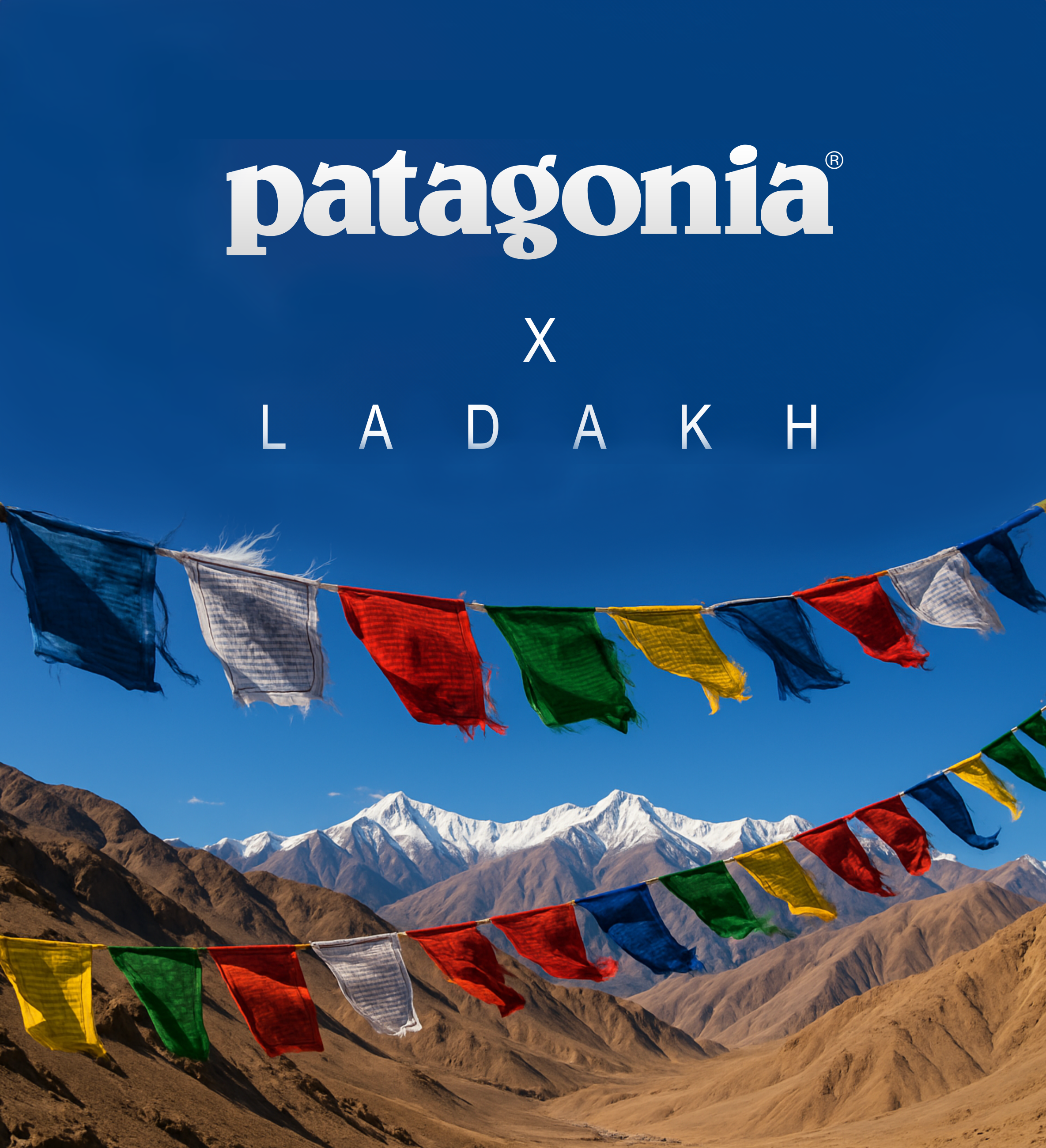 Patagonia x Ladakh