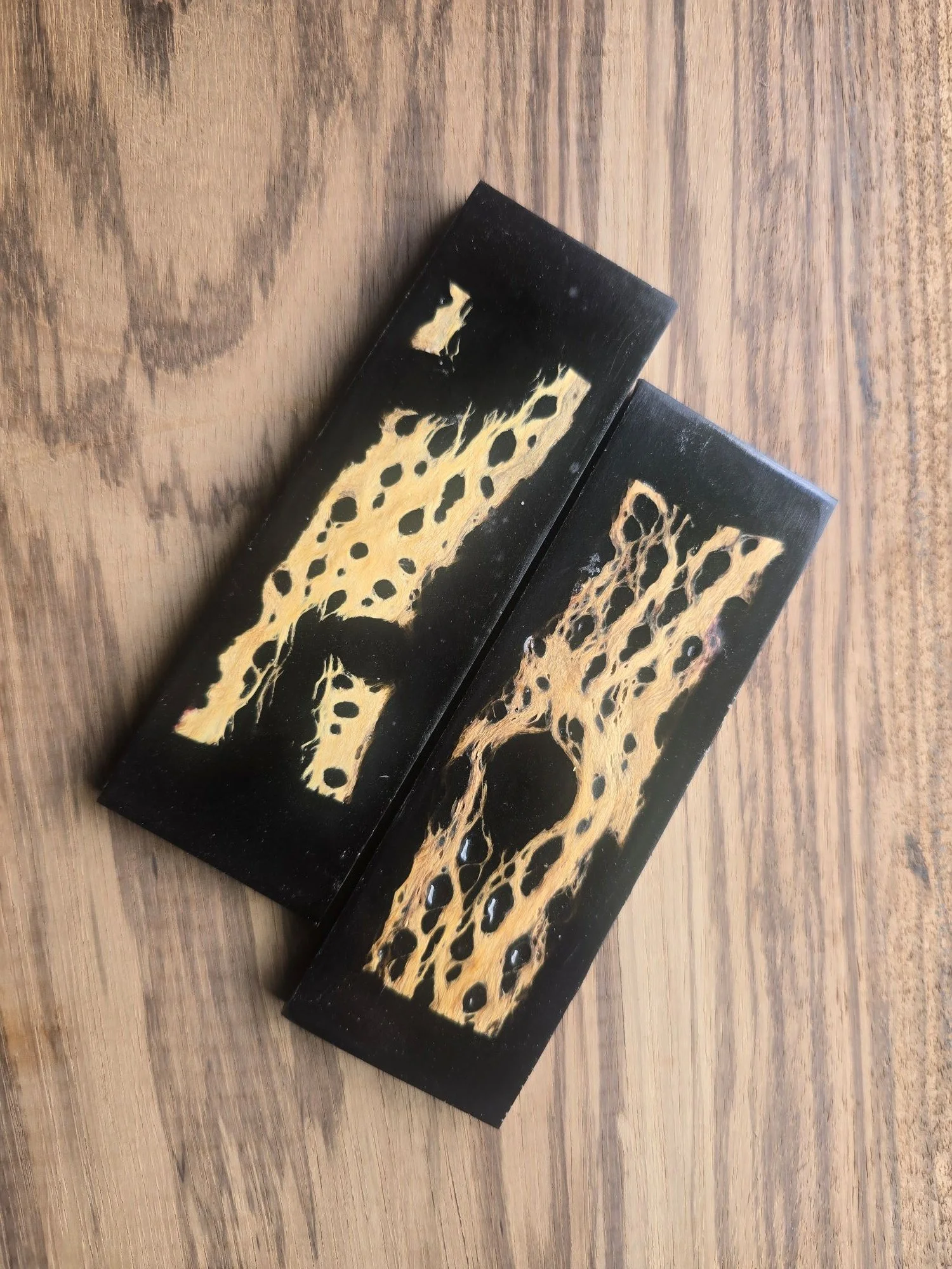 Cholla .4x2x6 inch Cactus in black resin knife scales