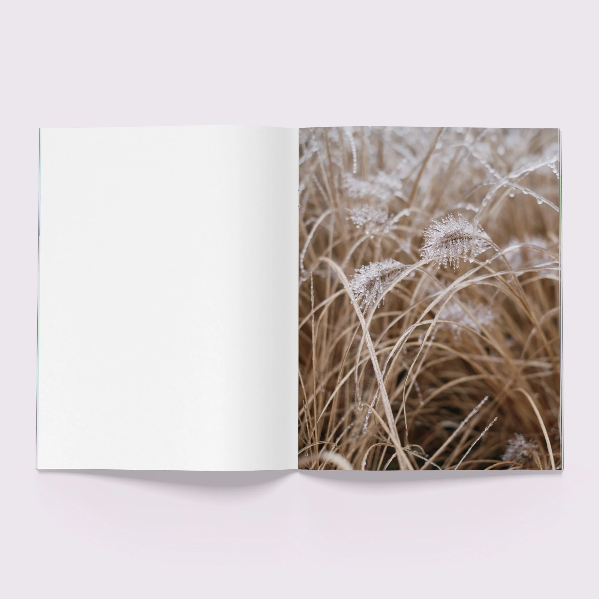 Lidiia_Zine_Spread_04_cr.jpg
