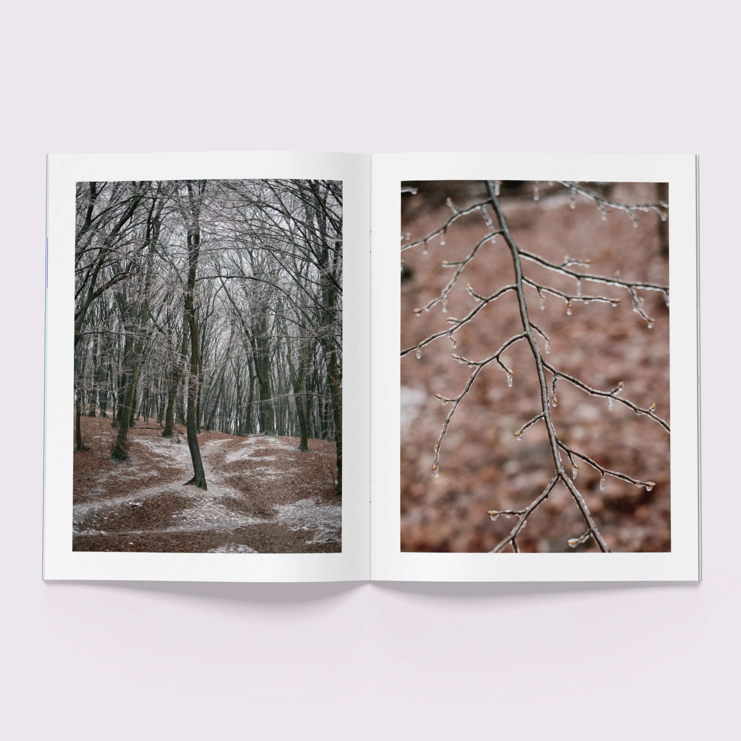 Lidiia_Zine_Spread_02_cr.jpg