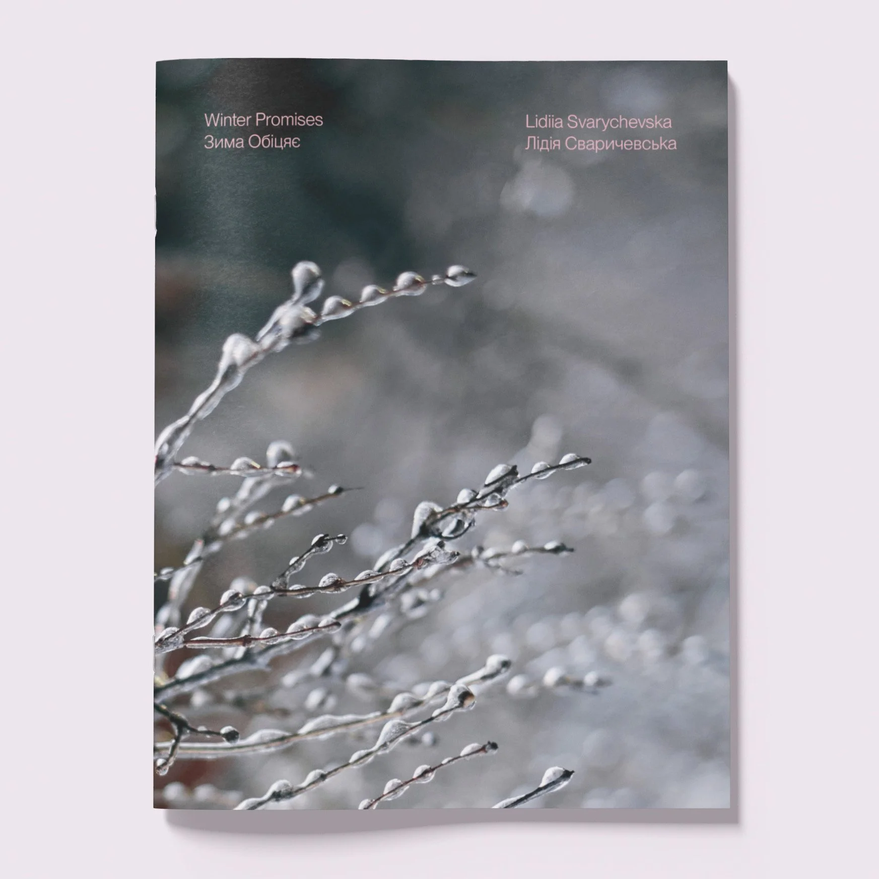 Lidiia_Zine_Cover_cr.jpg