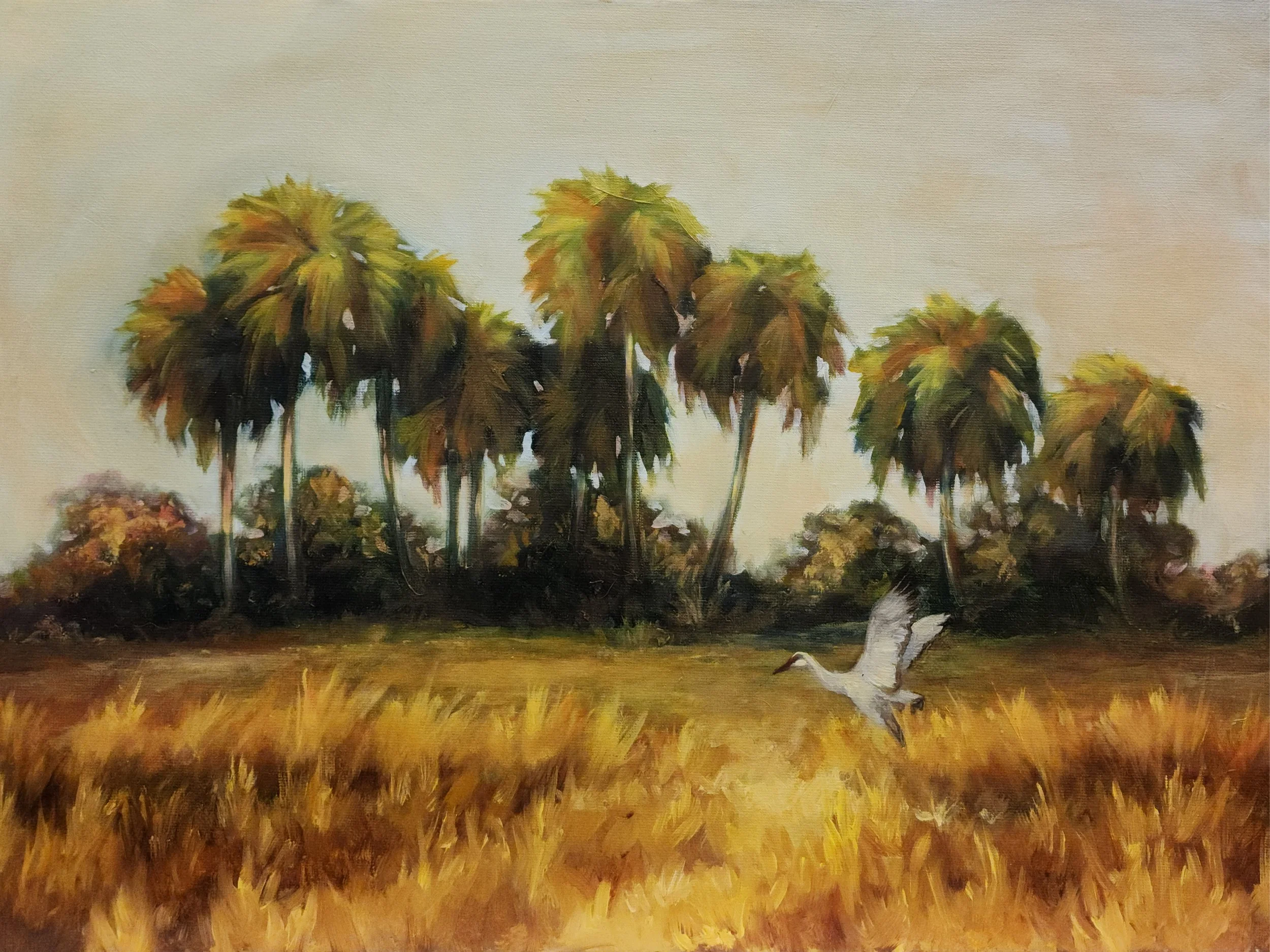Lone Sandhill Crane Oil Painting