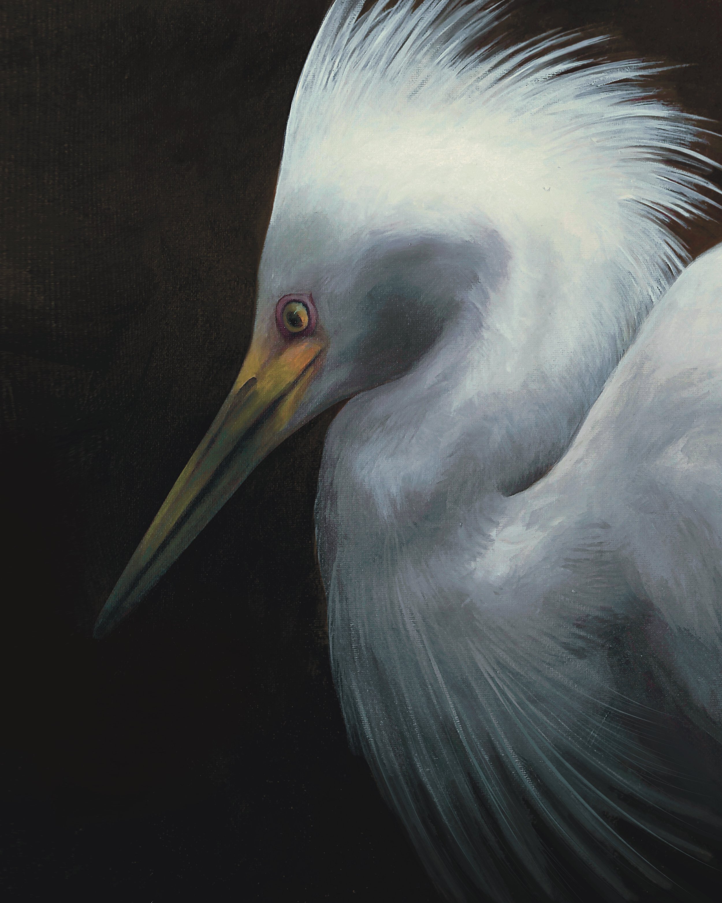 Snowy Egret Portrait Oil Painting