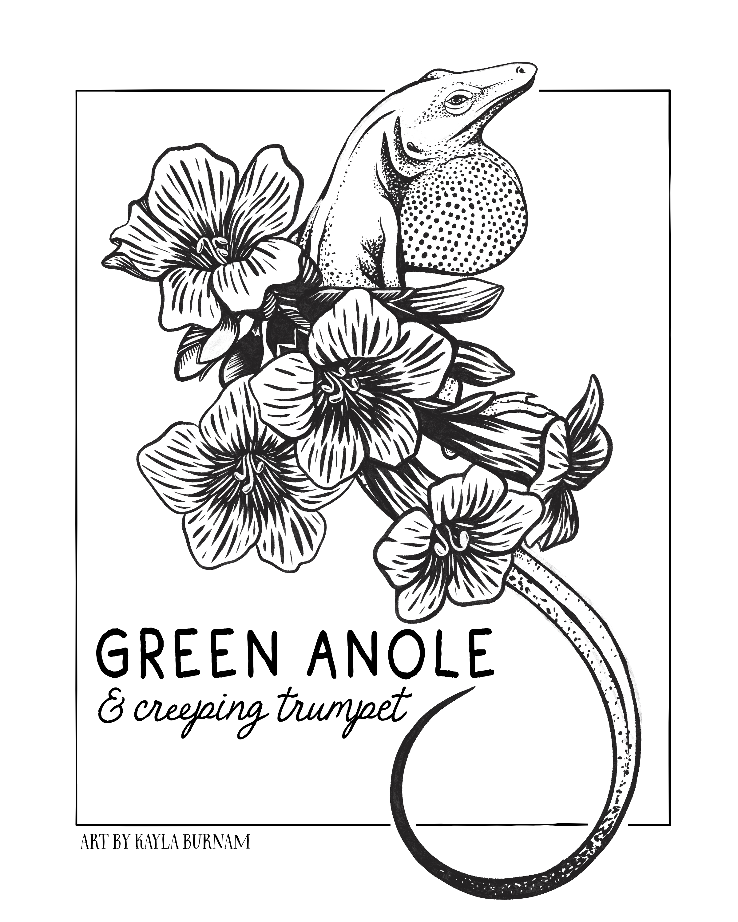 green anole and creeping trumpet black and white.
