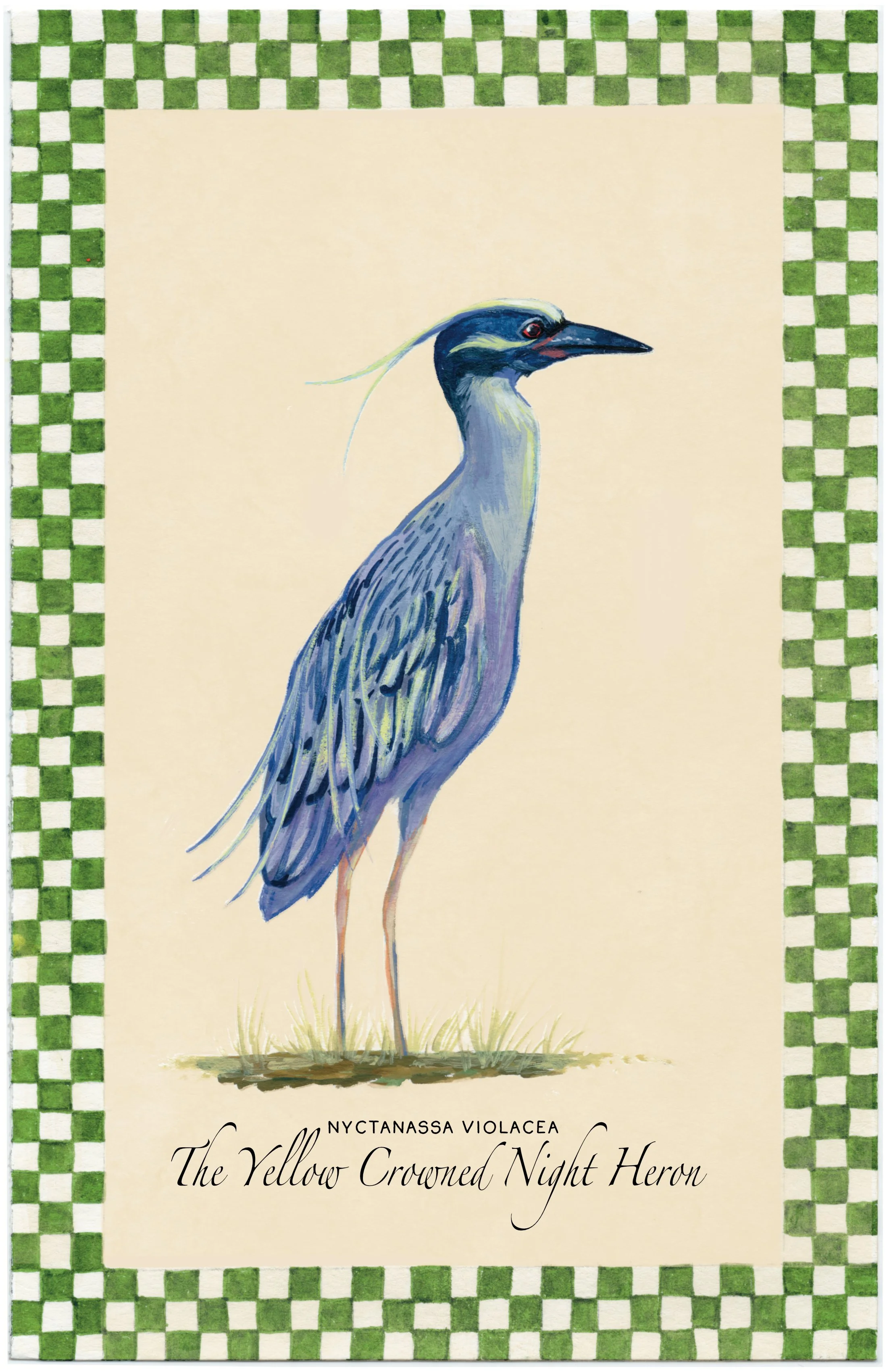 Yellow Crowned Night Heron Gouache Painting