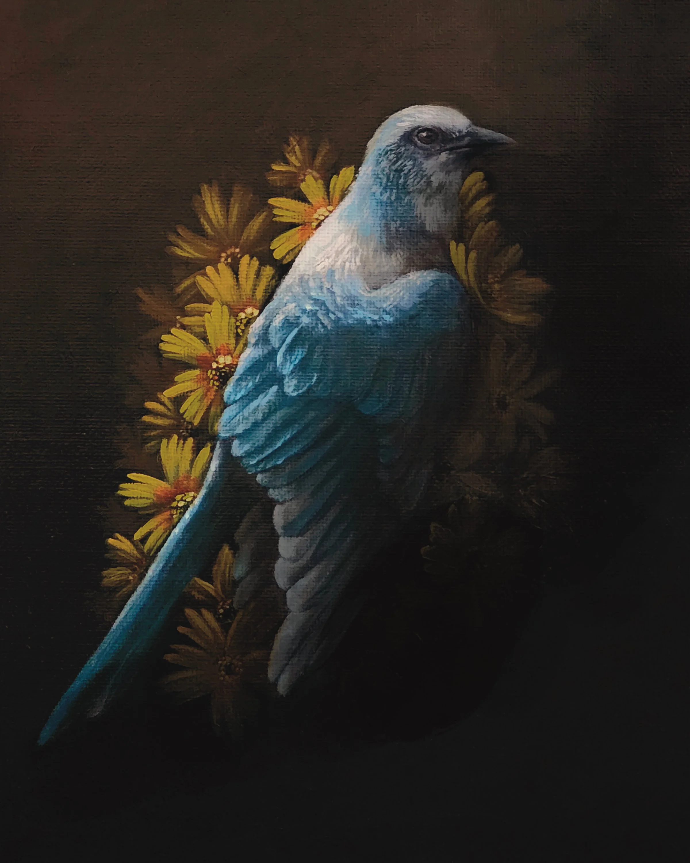 Florida Scrub Jay Oil Painting